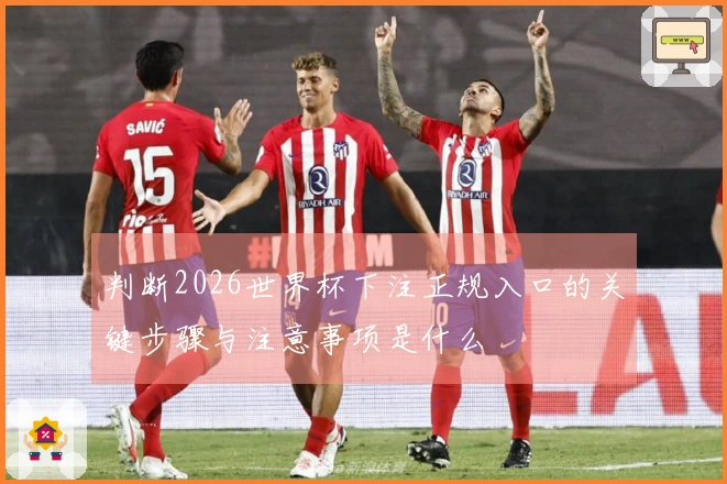 判断2026世界杯下注正规入口的关键步骤与注意事项是什么